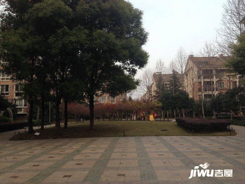 阳光地带实景图图片