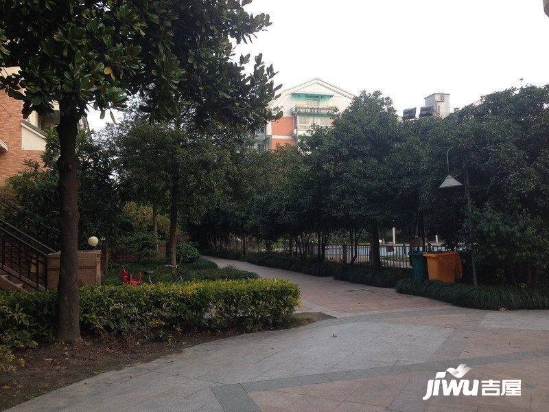阳光地带实景图图片