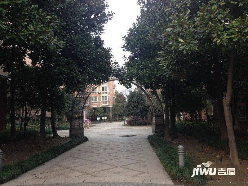 阳光地带实景图图片