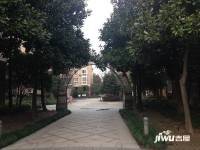 陽光地帶實景圖圖片