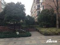 陽光地帶實景圖圖片