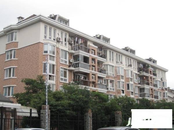 阳光地带实景图图片