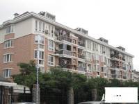 陽光地帶實景圖圖片