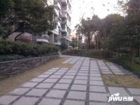 蘭庭國際實景圖圖片