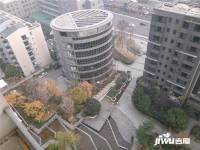 蘭庭國際實景圖圖片