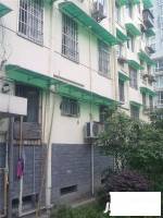 曙光路小區實景圖圖片