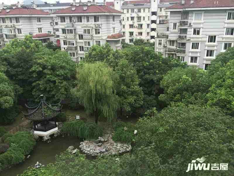 颐景园文新实景图图片