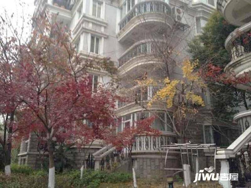 颐景园文新实景图图片