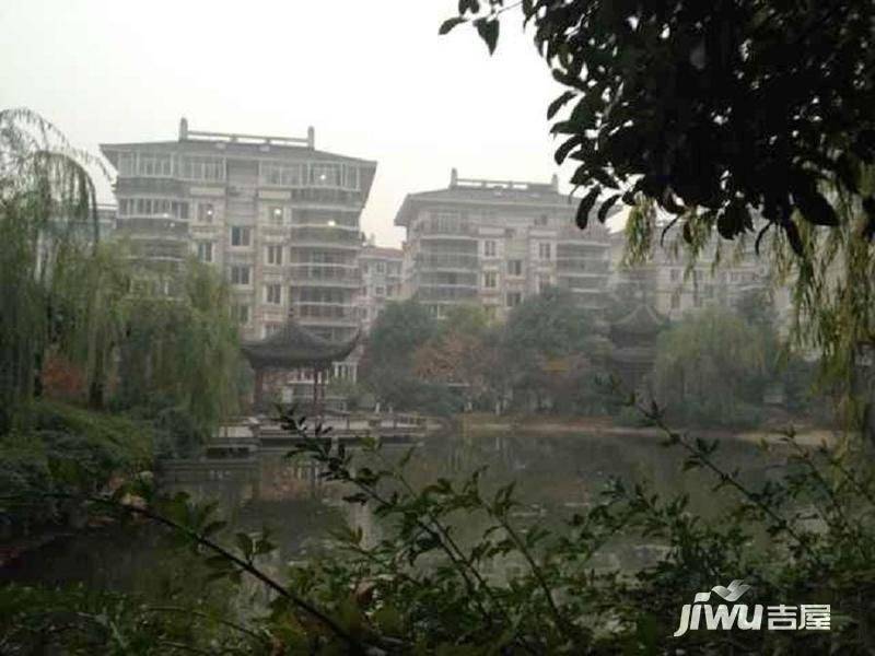颐景园文新实景图图片