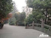 頤景園文新實景圖圖片
