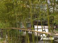 碧云閣公寓實景圖圖片