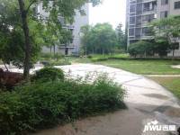 曼城實景圖5