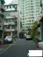 桃花河新村實景圖9