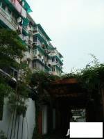 桃花河新村實景圖9