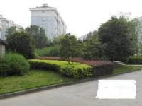 碧桂苑實景圖圖片