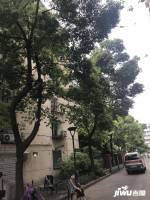 珠碧一弄12號實景圖圖片