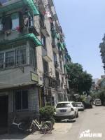 東平巷小區實景圖圖片