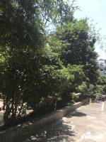 東平巷小區實景圖圖片