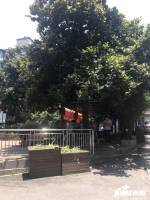 東平巷小區實景圖圖片