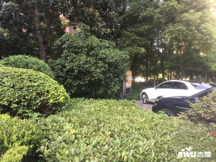 廣利普金家園實景圖圖片