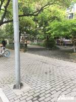 物華小區實景圖圖片