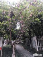 物華小區實景圖圖片
