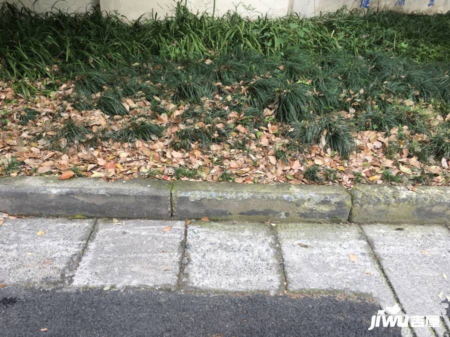 物华小区实景图图片