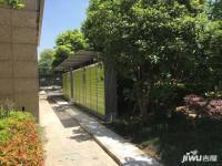 百富聯合國際實景圖圖片