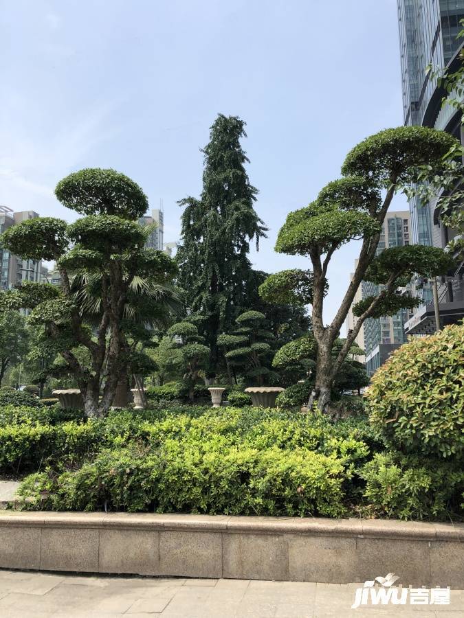 都市阳光广场实景图图片