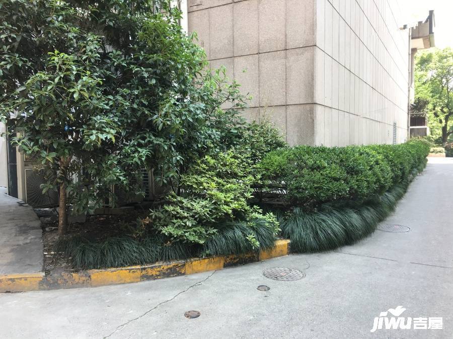 國際花園實景圖圖片