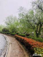 翡翠城木兰苑实景图图片