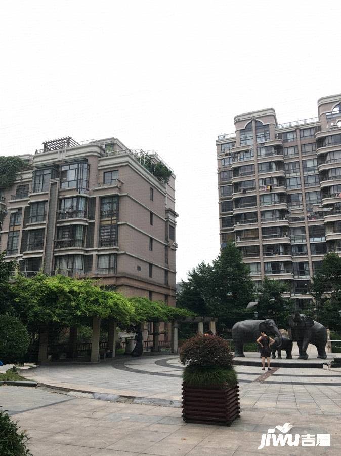 天汇园星云地带实景图图片