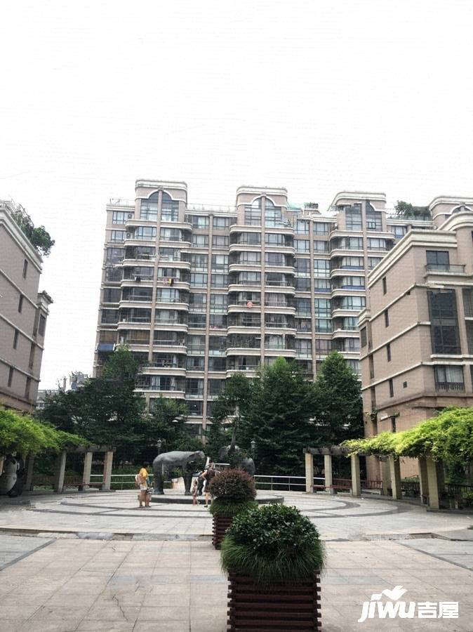 天汇园星云地带实景图图片