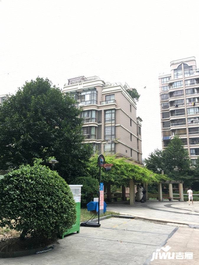 天汇园星云地带实景图图片