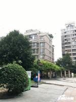 天匯園星云地帶實景圖圖片