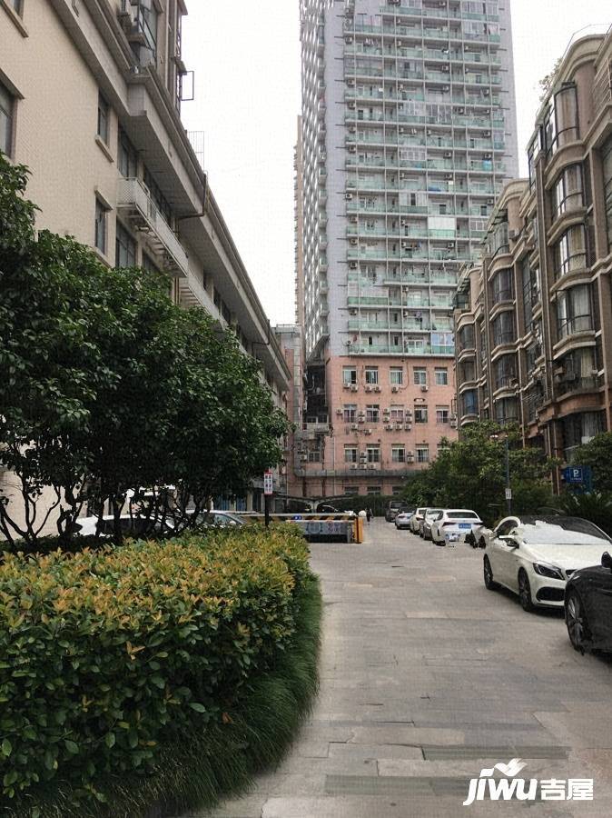 天汇园星云地带实景图图片