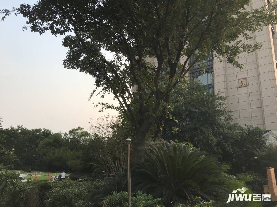 中天西城紀公寓實景圖圖片