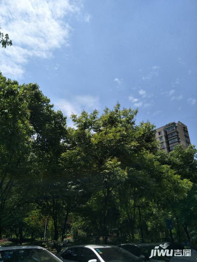 美都雅苑实景图图片