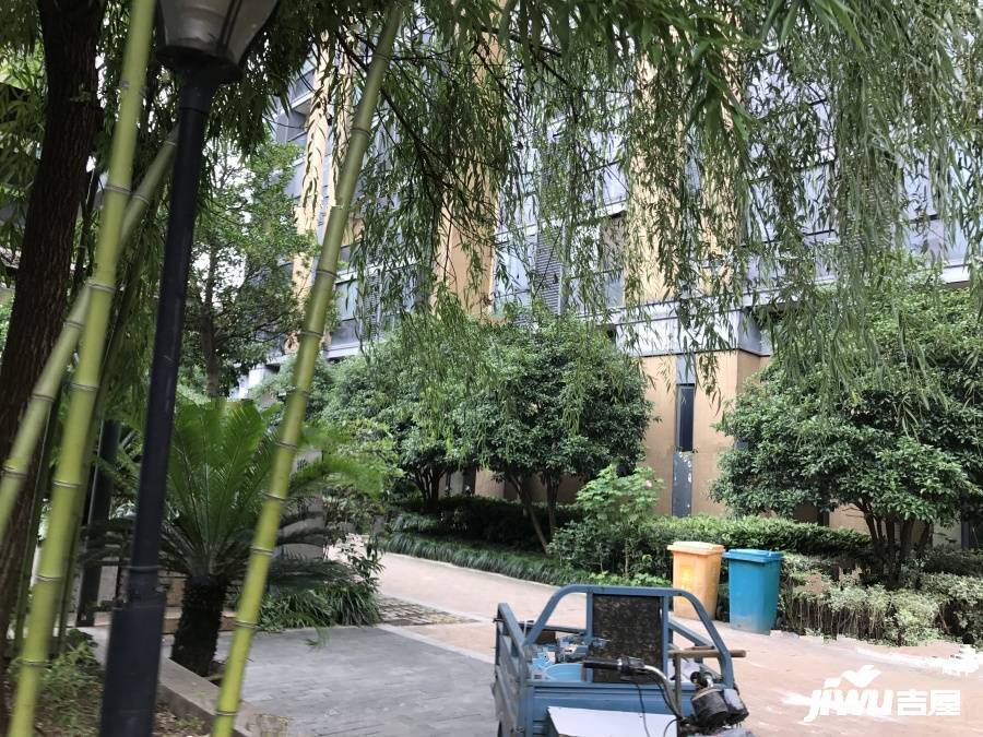淺草名苑實景圖圖片
