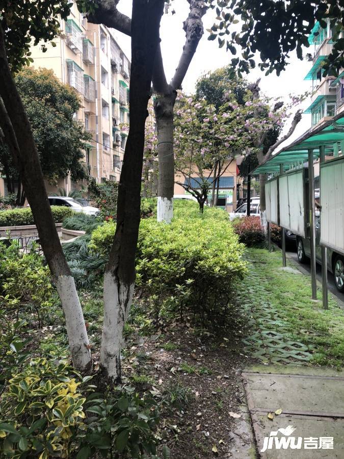 采荷青荷苑实景图图片