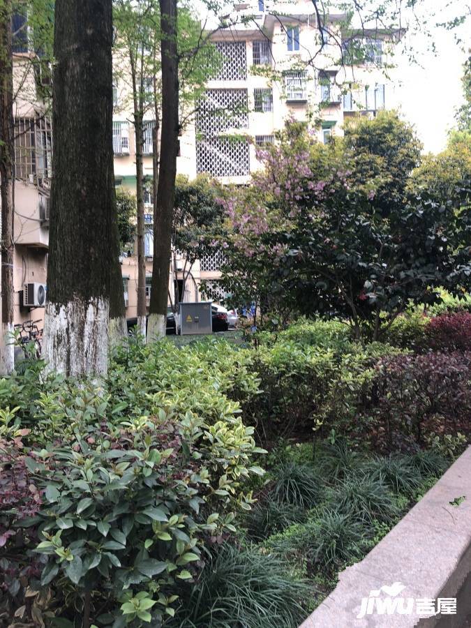 采荷青荷苑实景图图片