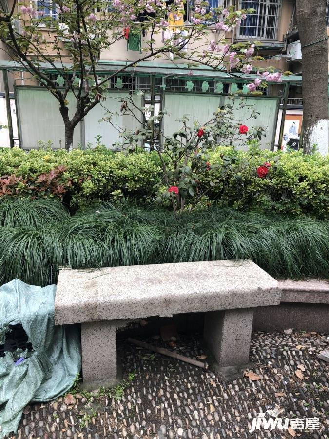 采荷青荷苑实景图图片