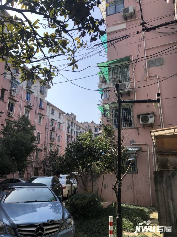 采荷玉荷实景图图片