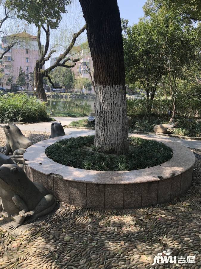 采荷玉荷实景图图片