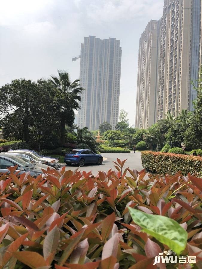 城市之星（50年）实景图图片