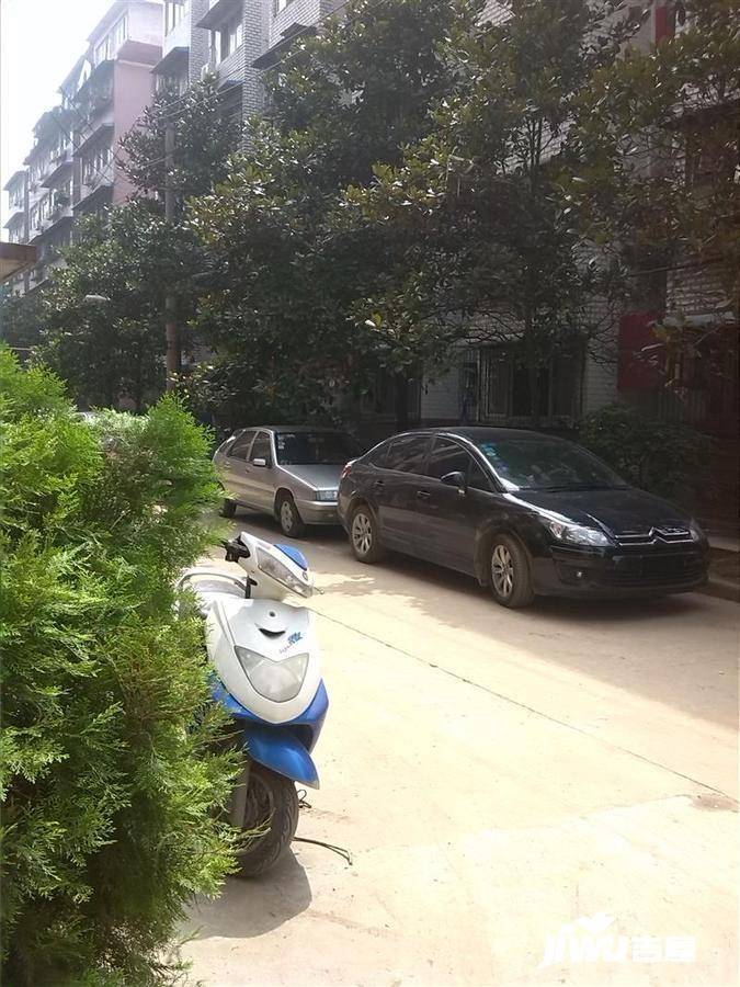 青山东方花园实景图图片