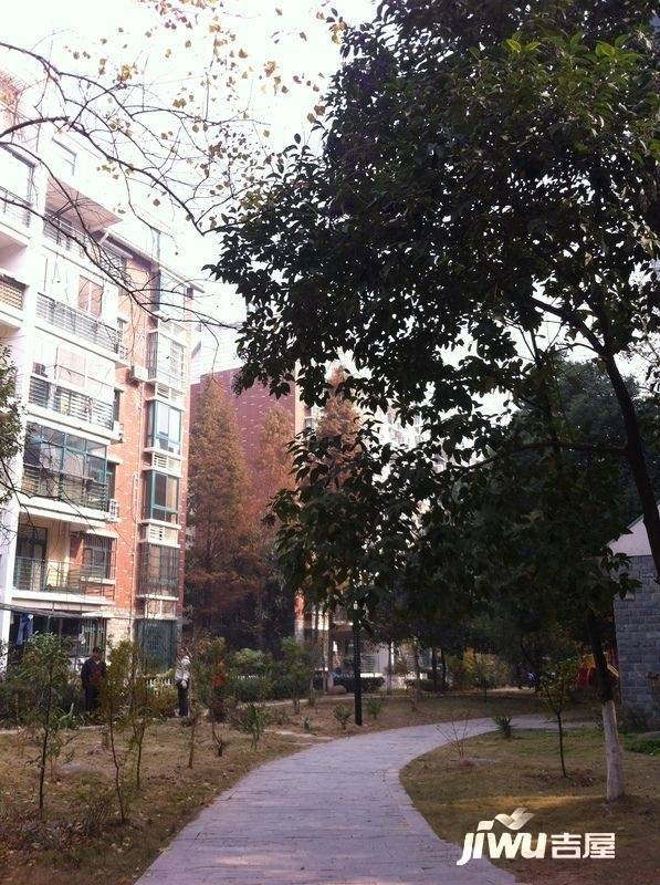 华锦春天故事实景图图片
