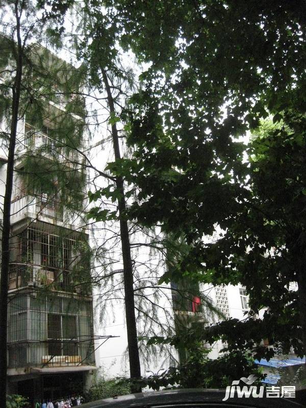 小洪山小区实景图图片