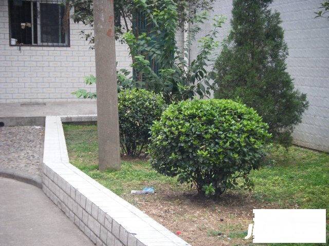 香江家园实景图图片