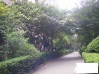 香江家园实景图图片